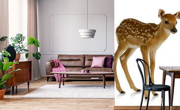 Visualisierung des Produkts