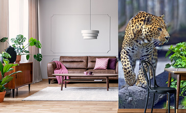 Visualisierung des Produkts