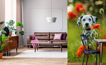 Visualisierung des Produkts