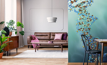 Visualisierung des Produkts