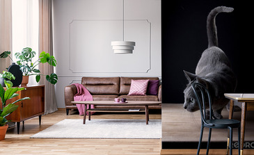 Visualisierung des Produkts