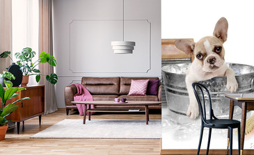 Visualisierung des Produkts