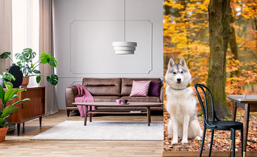 Visualisierung des Produkts