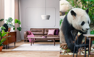 Visualisierung des Produkts