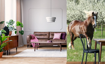 Visualisierung des Produkts