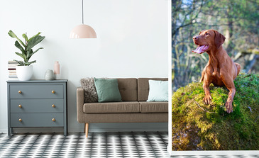 Visualisierung des Produkts