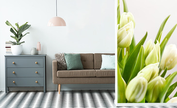 Visualisierung des Produkts