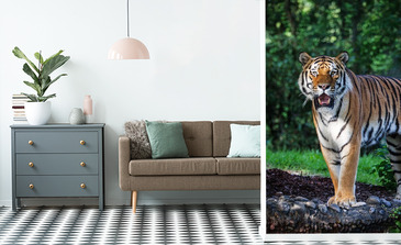 Visualisierung des Produkts