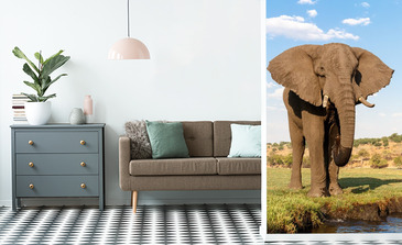 Visualisierung des Produkts