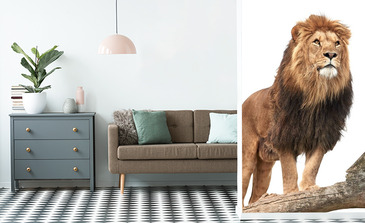 Visualisierung des Produkts