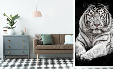 Visualisierung des Produkts