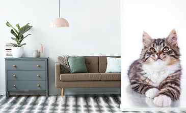 Visualisierung des Produkts