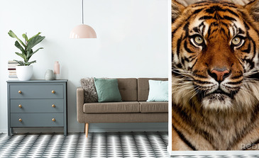 Visualisierung des Produkts