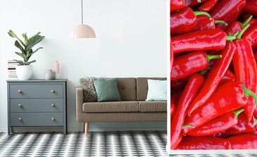 Visualisierung des Produkts