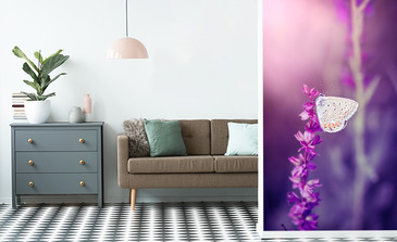 Visualisierung des Produkts