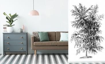 Visualisierung des Produkts