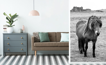 Visualisierung des Produkts