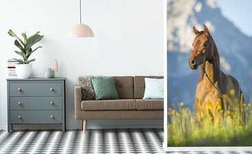 Visualisierung des Produkts