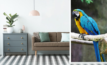 Visualisierung des Produkts