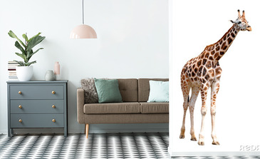 Visualisierung des Produkts