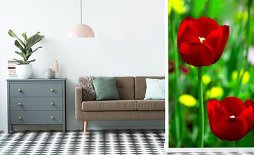 Visualisierung des Produkts