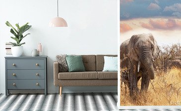 Visualisierung des Produkts