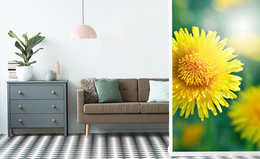 Visualisierung des Produkts