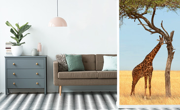 Visualisierung des Produkts