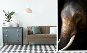 Visualisierung des Produkts