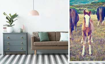 Visualisierung des Produkts