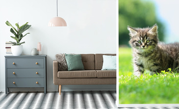 Visualisierung des Produkts