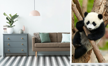 Visualisierung des Produkts