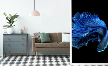 Visualisierung des Produkts