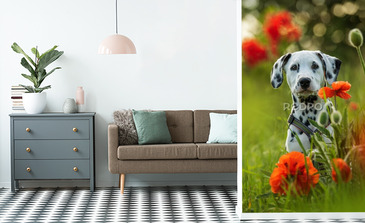 Visualisierung des Produkts