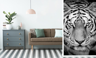 Visualisierung des Produkts