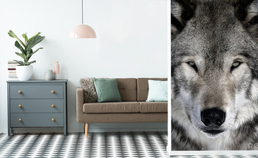 Visualisierung des Produkts