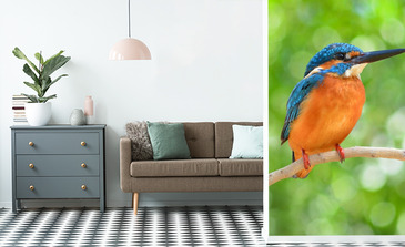 Visualisierung des Produkts