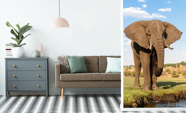 Visualisierung des Produkts