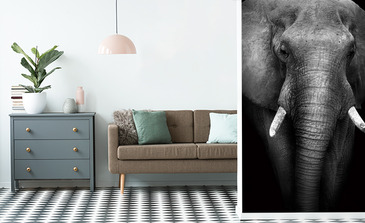 Visualisierung des Produkts