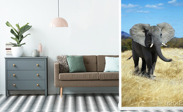 Visualisierung des Produkts