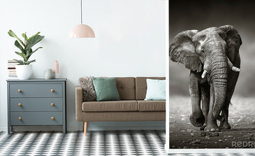 Visualisierung des Produkts