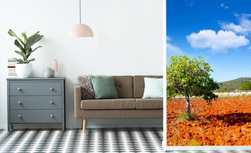 Visualisierung des Produkts