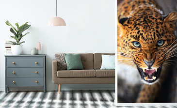 Visualisierung des Produkts