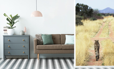 Visualisierung des Produkts