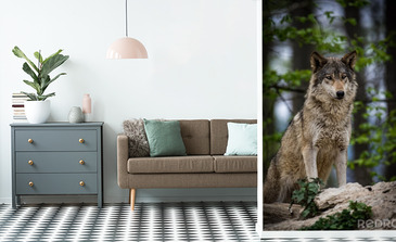 Visualisierung des Produkts