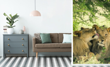 Visualisierung des Produkts