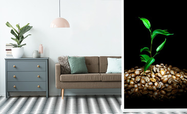 Visualisierung des Produkts