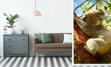 Visualisierung des Produkts