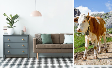 Visualisierung des Produkts