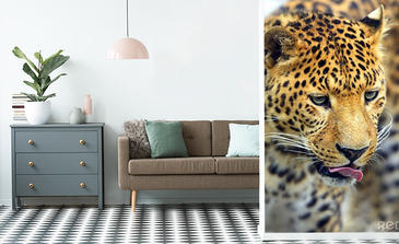 Visualisierung des Produkts